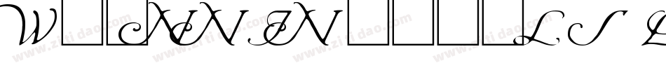Wrenn Initials Light字体转换